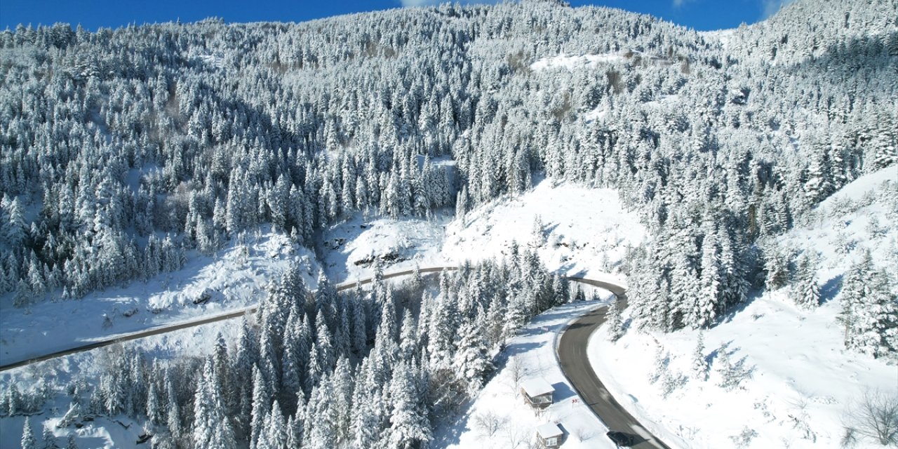 Kastamonu'da ormanlar beyaz örtüyle kaplandı