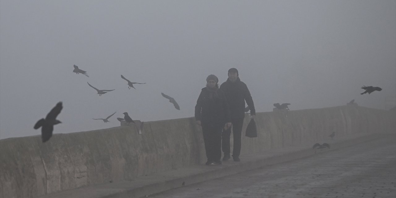 Edirne'de yoğun sis etkili oluyor