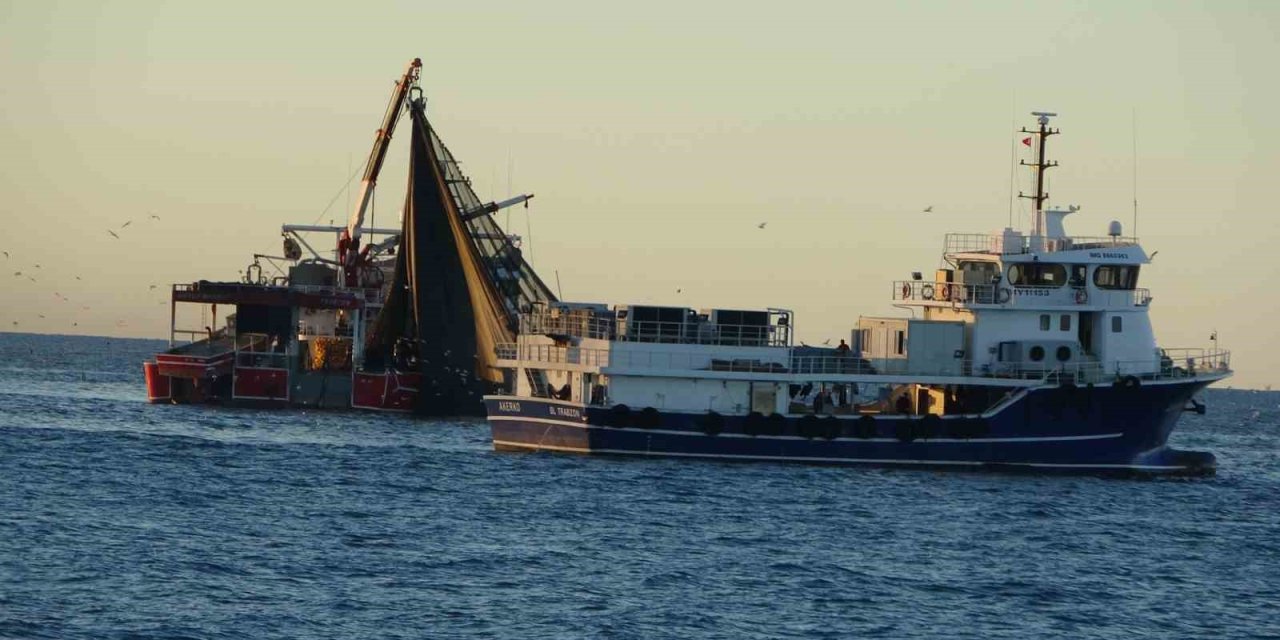 Hamsi avı azalınca 2 gün avlanmama kararı aldılar