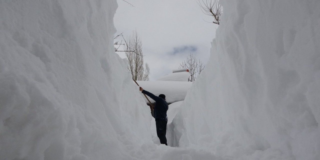 192 santimetreye ulaştı! Görenler hayrete düştü