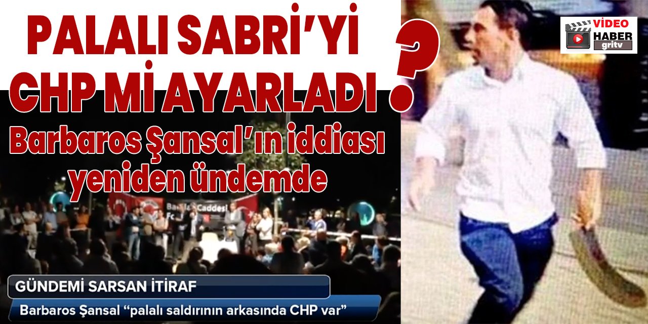 Gezi'nin Palalı Sabri'si CHP organizasyonu muydu?