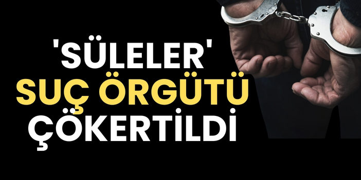 'Süleler' suç örgütü çökertildi