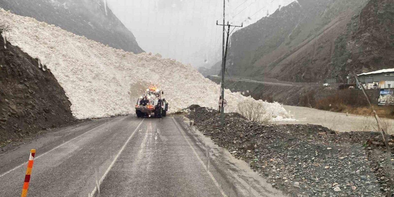 Hakkari-Şırnak yoluna çığ indi