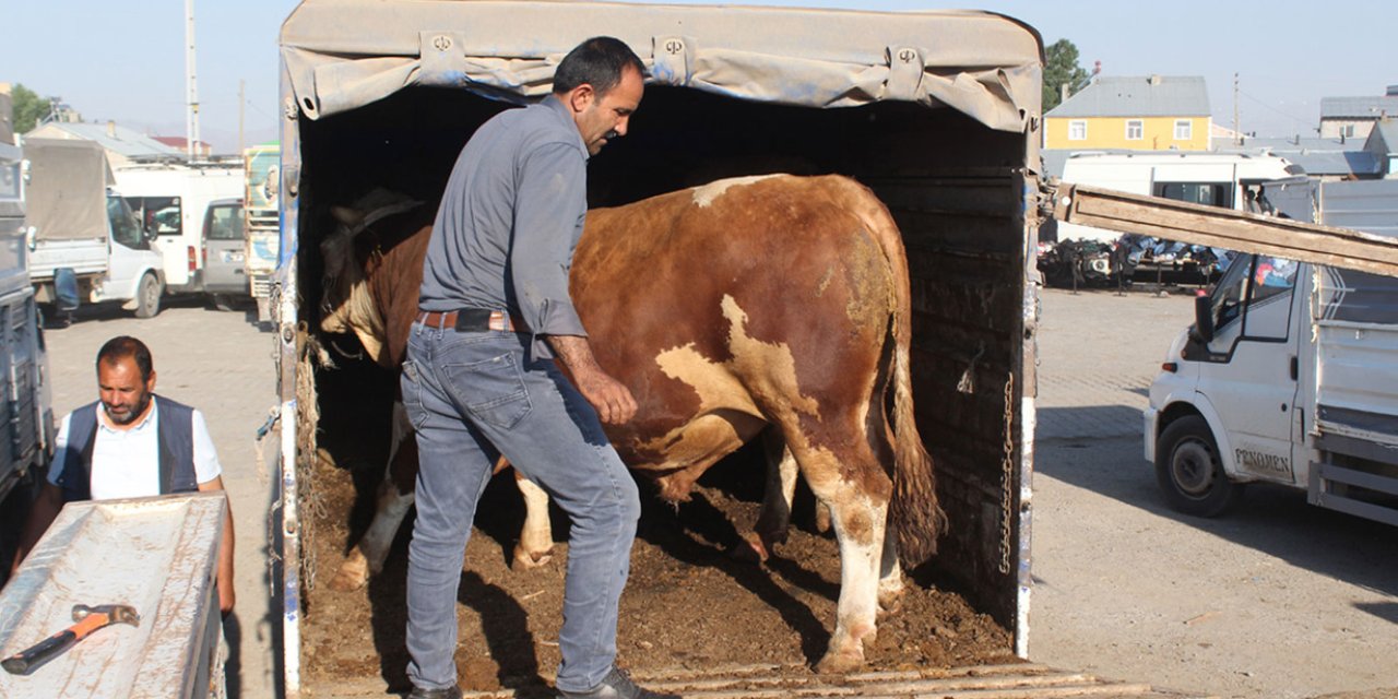 Kurbanlıklar için karar! Bakanlıklar açıkladı