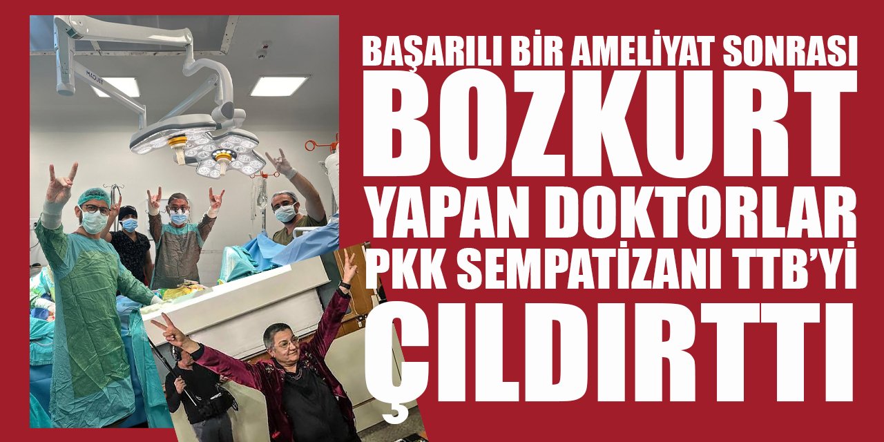 PKK işaretini içselleştiren, TSK'ya 'kimyasal silah kullandı' iftirası atan TTB doktorların Bozkurt işaretine tahammül edemedi