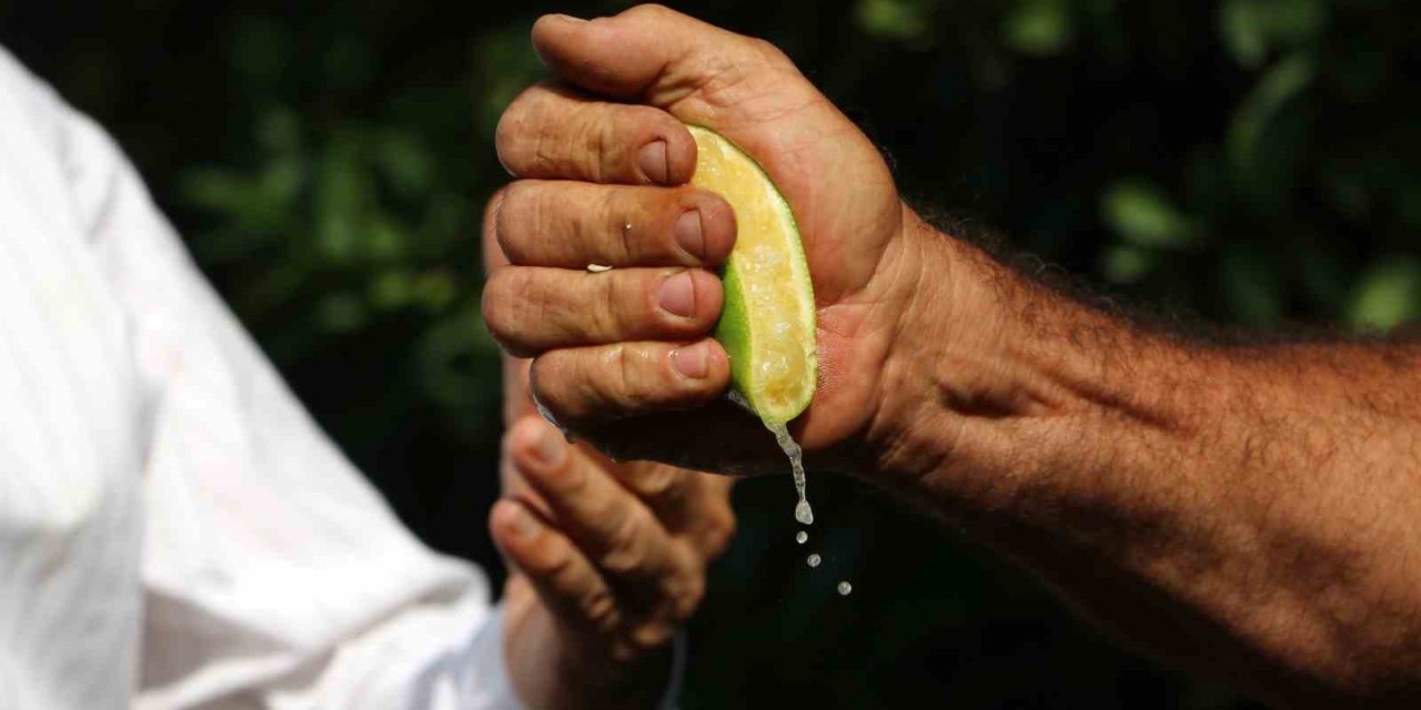 İstanbul’da geçen ay en çok pahalanan ürün limon oldu