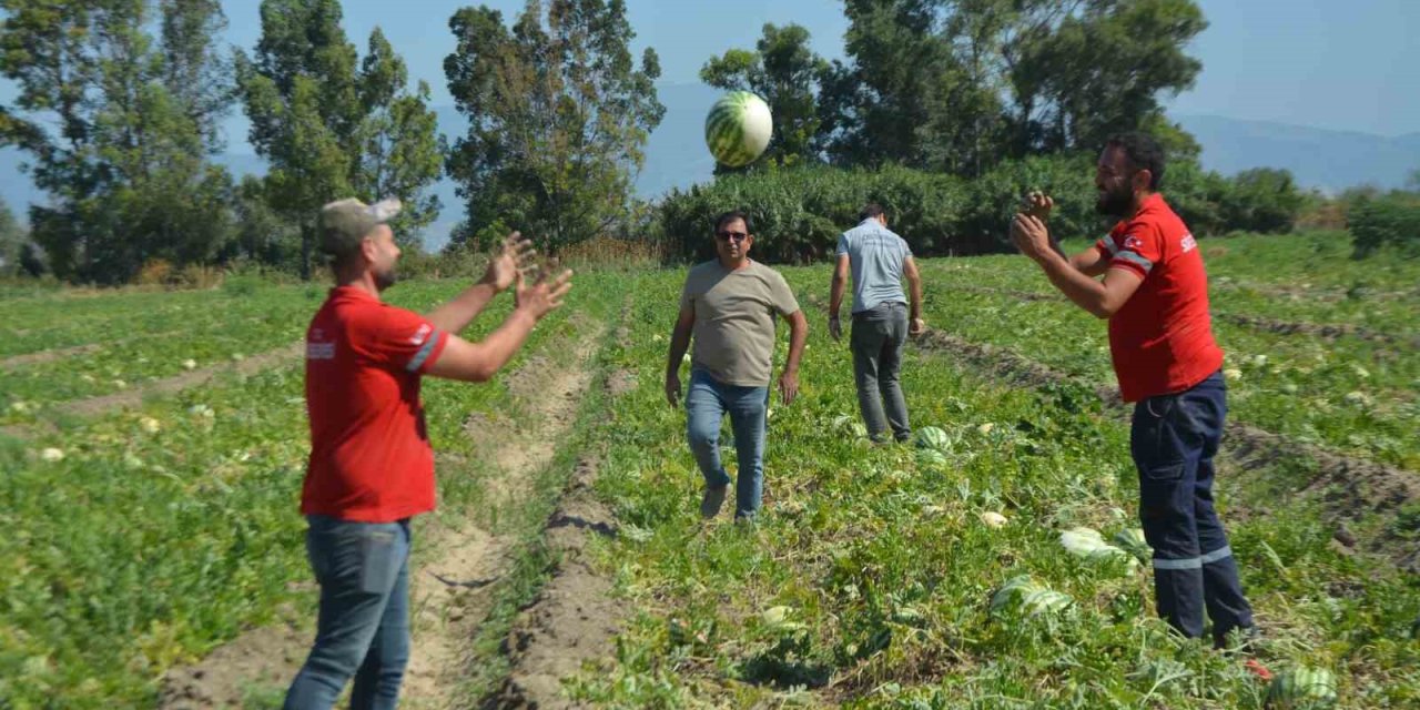 Belediye vatandaşa karpuz dağıttı