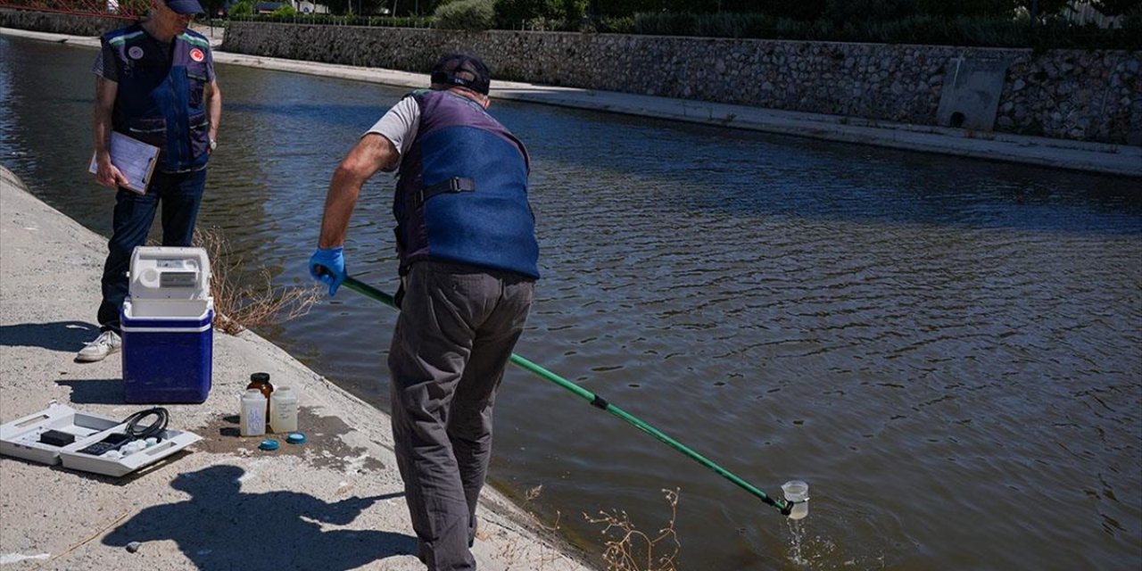 Balık ölümlerinin görüldüğü İzmir Körfezi'nde yoğun denetim