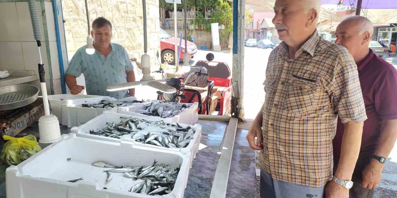 Yasak kalktı, tezgahlar balık doldu, fiyatlar uygun