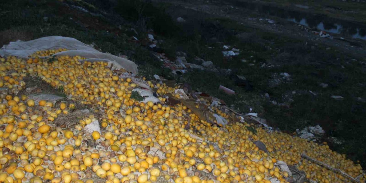 Tonlarca limon dere yatağına döküldü