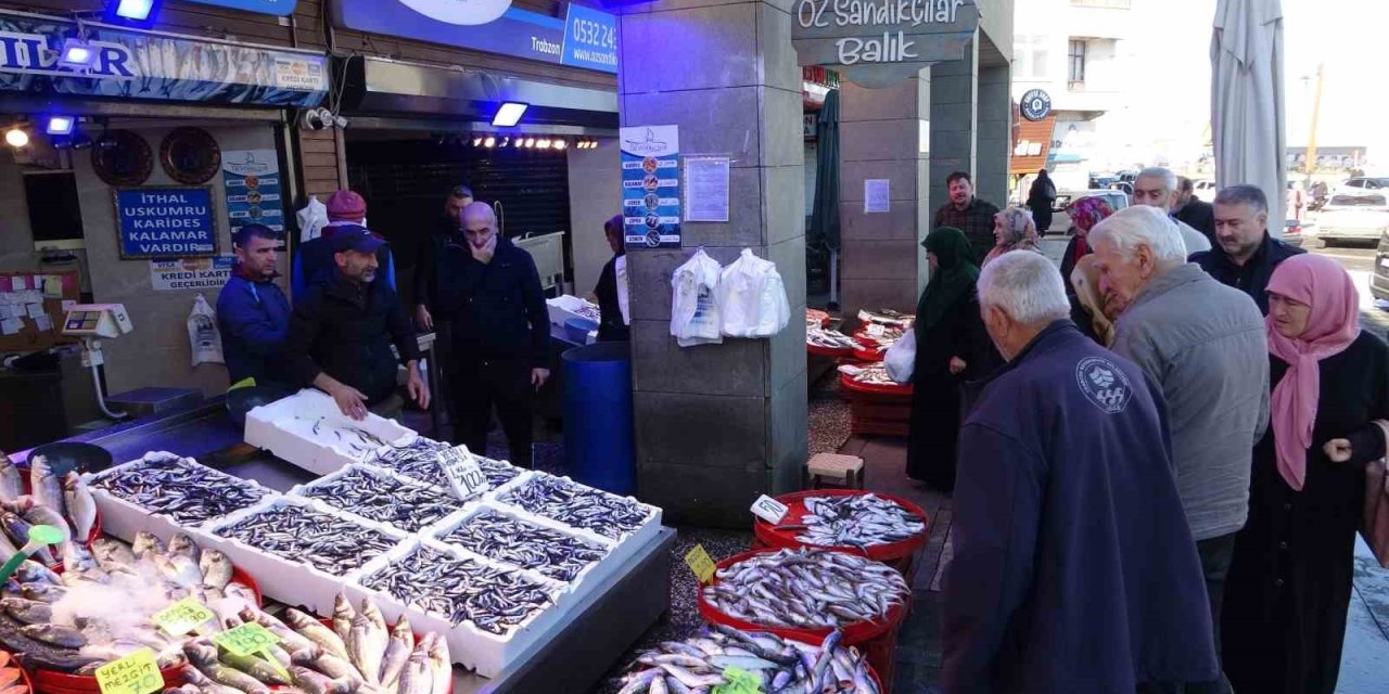 Hamsi palamuttan tahtını geri aldı