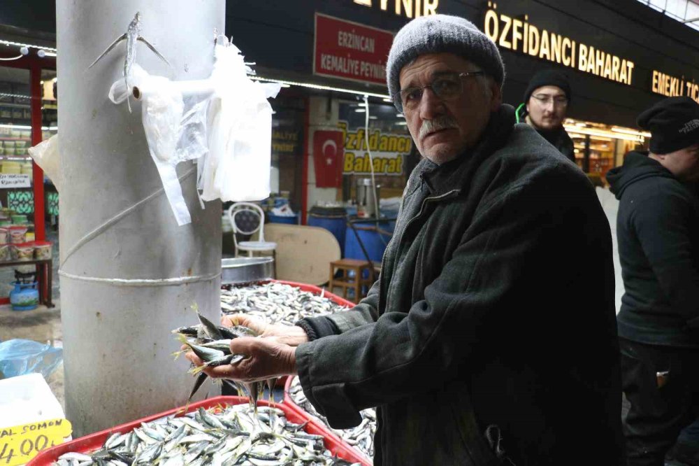 Sivas'ta 3 farklı denizden gelen balıklar dikkat çekiyor!