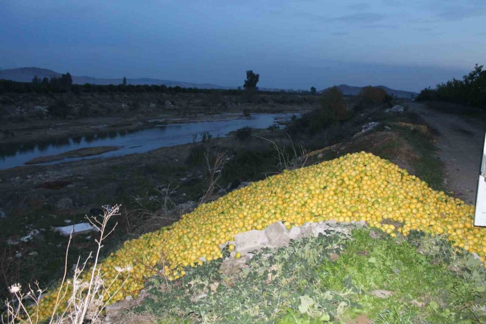 Tonlarca limon dere yatağına döküldü