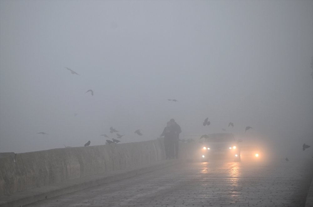 Edirne'de yoğun sis etkili oluyor