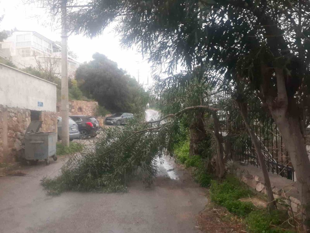 Bodrum’u fırtına ve sağanak vurdu