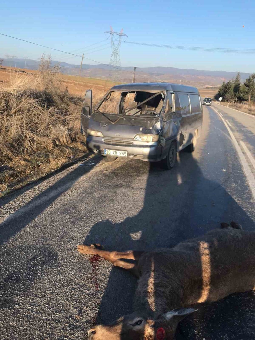 Minibüs geyiğe çarptı! 2 kişi yaralandı