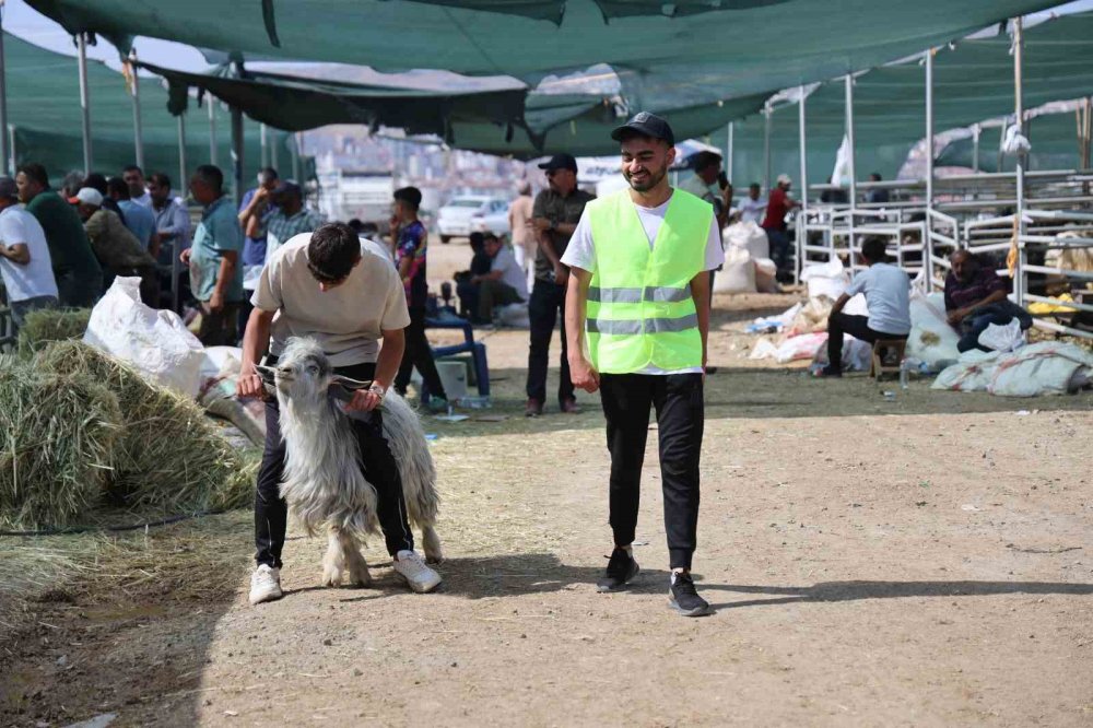 Elazığ’da bayramın son gününde kurbanlık alma telaşı sürdü