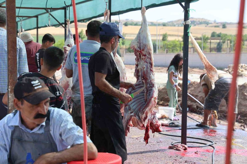 Elazığ’da bayramın son gününde kurbanlık alma telaşı sürdü