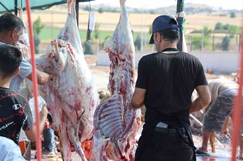 Elazığ’da bayramın son gününde kurbanlık alma telaşı sürdü